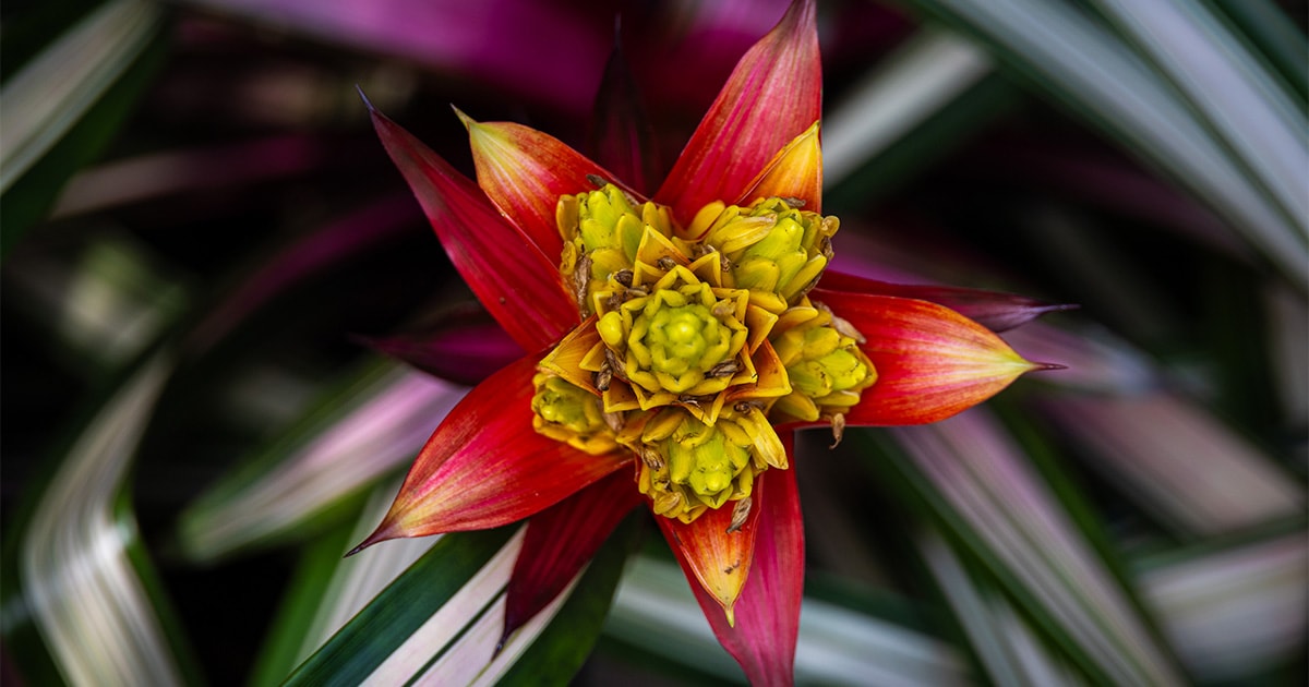 A fun day trip where I forced myself to focus on close-ups at long focal lengths.